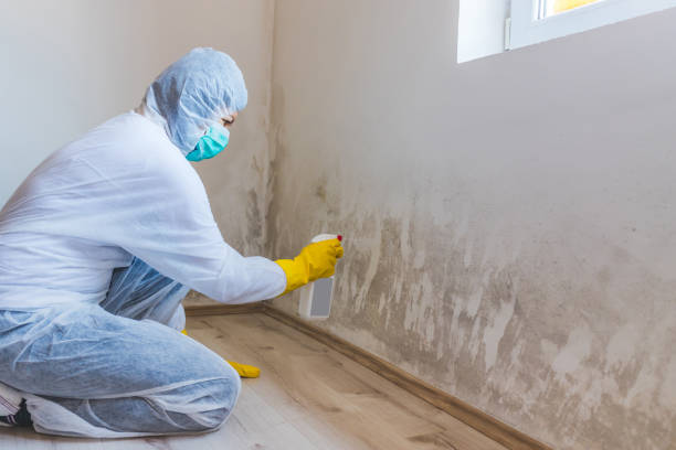 Licensed Hvac And Air Duct Mold Remediation service in Henderson, NC - Mold Remediation HQ